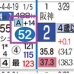 ハイブリッド競馬新聞