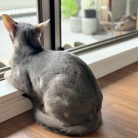 雨の夏休み
