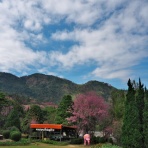 Dさんのタイ日記Ⅱ