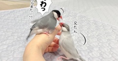 男同士の喧嘩は傷が絶えない