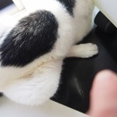 足