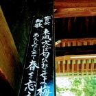 『 『北野天満宮へ御詣り』 ～映画"なまくら”で信じられないぐらいお世話になりました！～』の画像