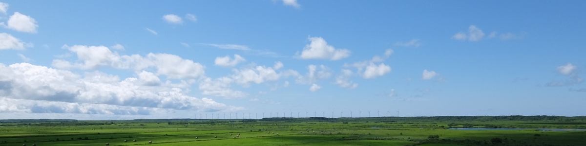 ランドナー ～大空と大地の中で～ イメージ画像