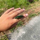 『新しく始めたこと(青木海人)』の画像