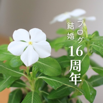 ブログ16周年と結婚16周年