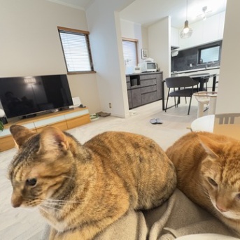 “片付け疲れ”の日こそ、心を整えるチャンス｜50代からのゆるリセット習慣