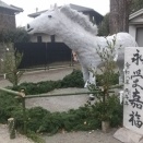 2026年 本年も宜しくお願いします。