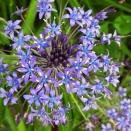 水曜日陶芸教室