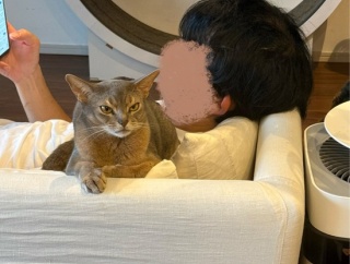 パパのいる夏休みを満喫するわか坊