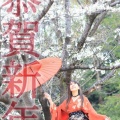 恭賀新年