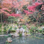 春日井つーしん