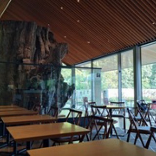 IDDM  58歳、ある日突然１型糖尿病になりました。が…