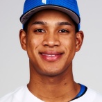 万波中正 .310(29-9) 5本 10打点 OPS1.301