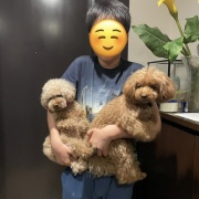 姪家族と癒しパワー