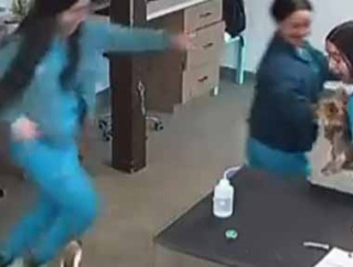 病院で患者が暴れ出した。逃げ惑うスタッフたち → 防犯カメラの映像はこちらです…