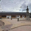 芳春院盆栽日記・69