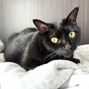 やっぱり現物を見て買ったほうがいい