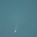 しない・させない・させられない