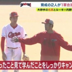 広島東洋カープまとめブログ | かーぷぶーん