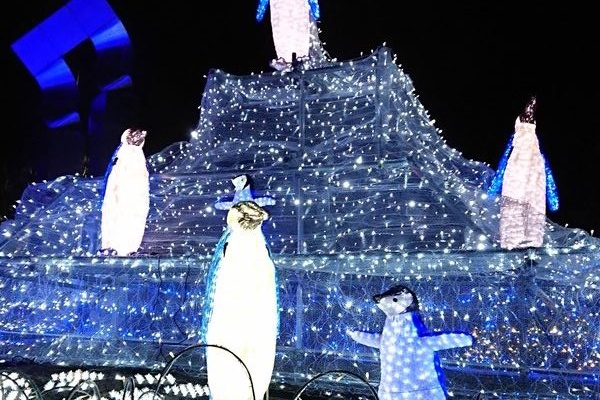 かわちーな かわちーの 花の文化園 かわちーな かわちーの 花の文化園