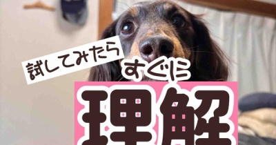 ご意見いろいろとあるでしょうが。