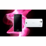 無類のねこ好き