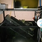 裏同心のブログ