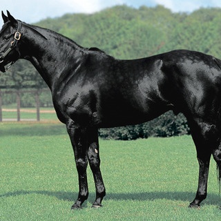 ☆うまなみ・競馬にゅーす速報