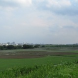 『A地区もすべての球場が顔を出しました』の画像