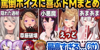 【ホロライブ】有料級の罵倒ボイスを聞いてブタになるホロメン達まとめw