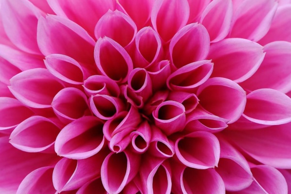 壁紙 Lenovo 壁紙