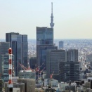 東京タワーから見た東京スカイツリー（2026年5月2日）