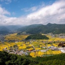 本格拠点開業準備を開始