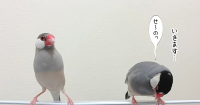 ランウェイを目指す