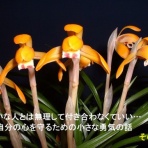 「いのち輝き塾」…人が輝く、企業が輝く、地球が輝く