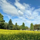 2025.9.26  木曽三川公園