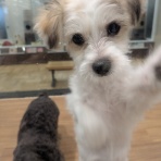 福岡県粕屋郡　ワンラブ　カインズ福岡新宮町店ブログ