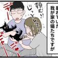 【猫飼い１年生・70】爪切りできるようになった猫①