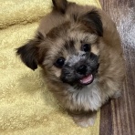 千葉県成田市　ワンラブ　イオン成田富里店ブログ