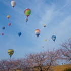 �غ���Ǯ����٤β���