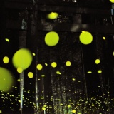 �ҥ�ܥ��������