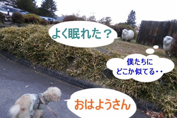 おでかけワンコだにゃ 犬連れ長野