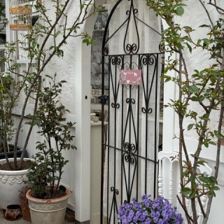 のばらのガーデニングブログ　Hana and Rose Garden+