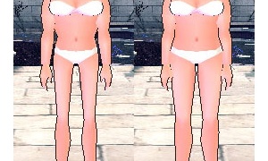 チーズを食べて下半身を増量する実験、太る温泉の効果