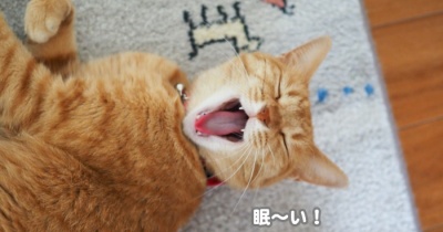 のんびり、まったり…