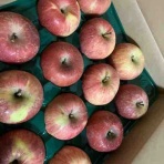 keikosensei1212のblog