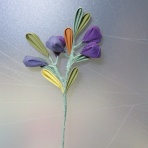 布NUNOつまむNUNO