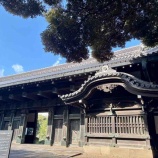 『上野散策と東京国立博物館、東博コレクション展(常設展)』の画像