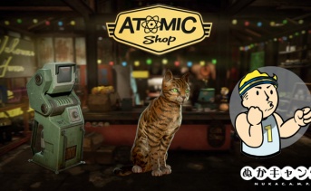 【アトミックショップ】新しい猫ちゃんが登場！