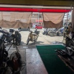 Bike★Gallery★Nextのブログ(*_*)